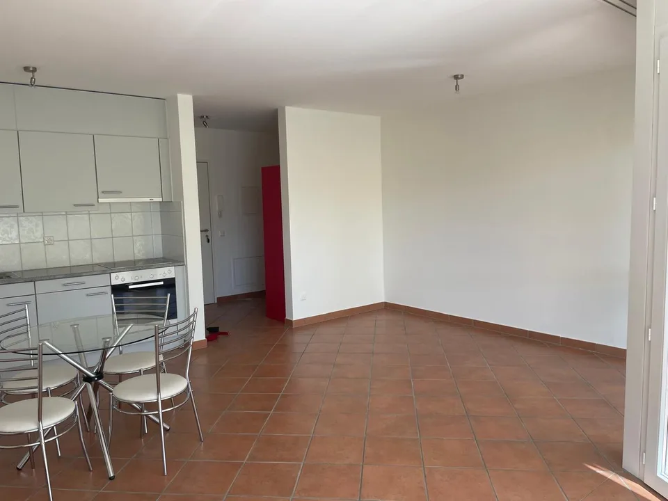 Pregassona – luminoso appartamento di 1 locale con ampio balcone e piscina – foto 7 di 17