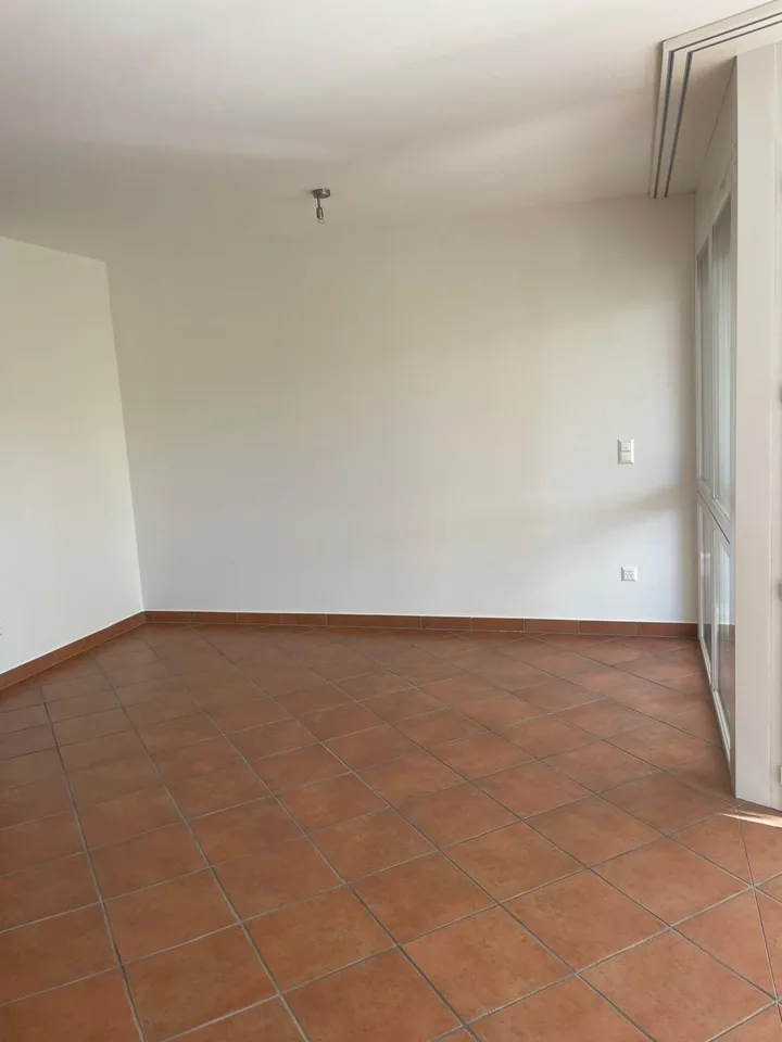 Pregassona – luminoso appartamento di 1 locale con ampio balcone e piscina – foto 6 di 17