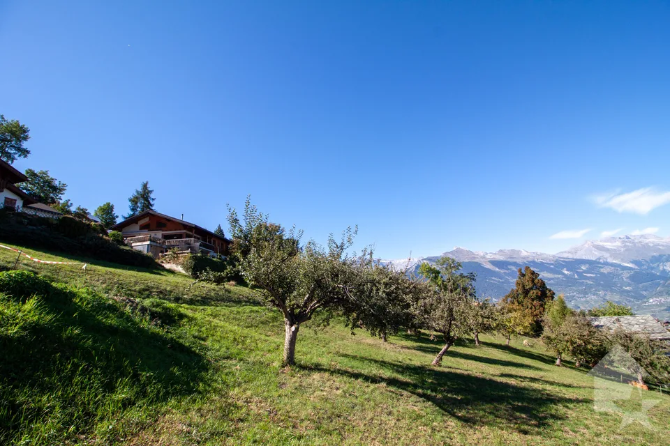 Superbe parcelle de 2'978 m² à bâtir à 5 minutes des pistes – photo 3 sur 5