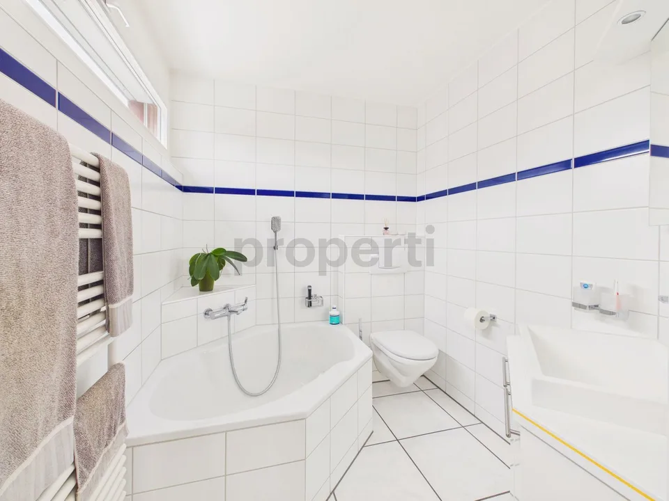 Bright 3.5-room attic apartment with lake view in Uster