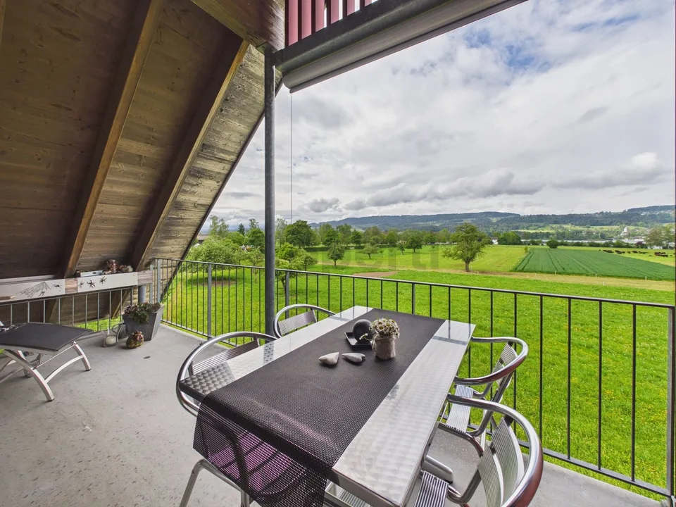 Bright 3.5-room attic apartment with lake view in Uster