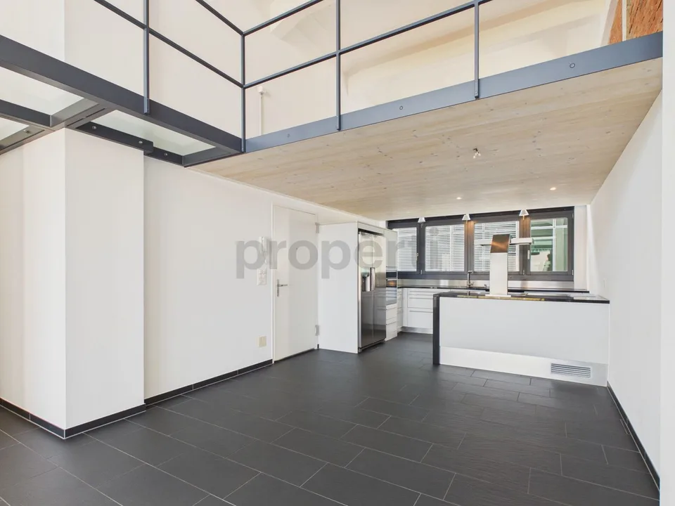 Loft ambiance, bright rooms, and renovation 2022