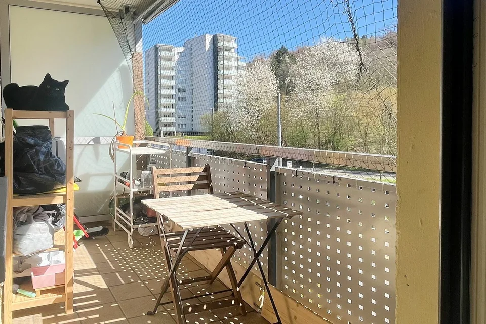 Wohnung mit Balkon mit Sicht ins Grüne nahe dem Dättwiler Weiher – Foto 9 von 9