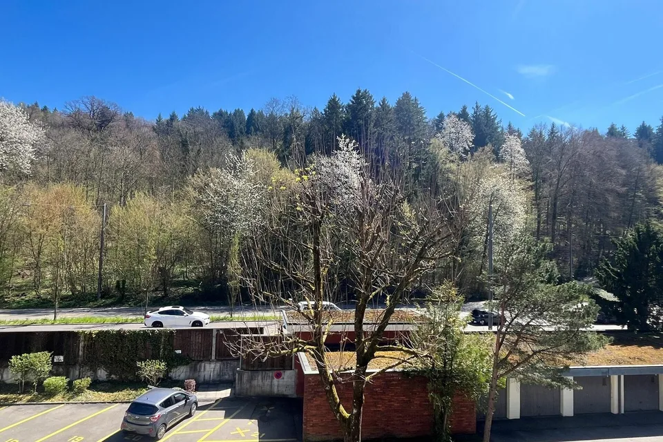 Wohnung mit Balkon mit Sicht ins Grüne nahe dem Dättwiler Weiher – Foto 2 von 9