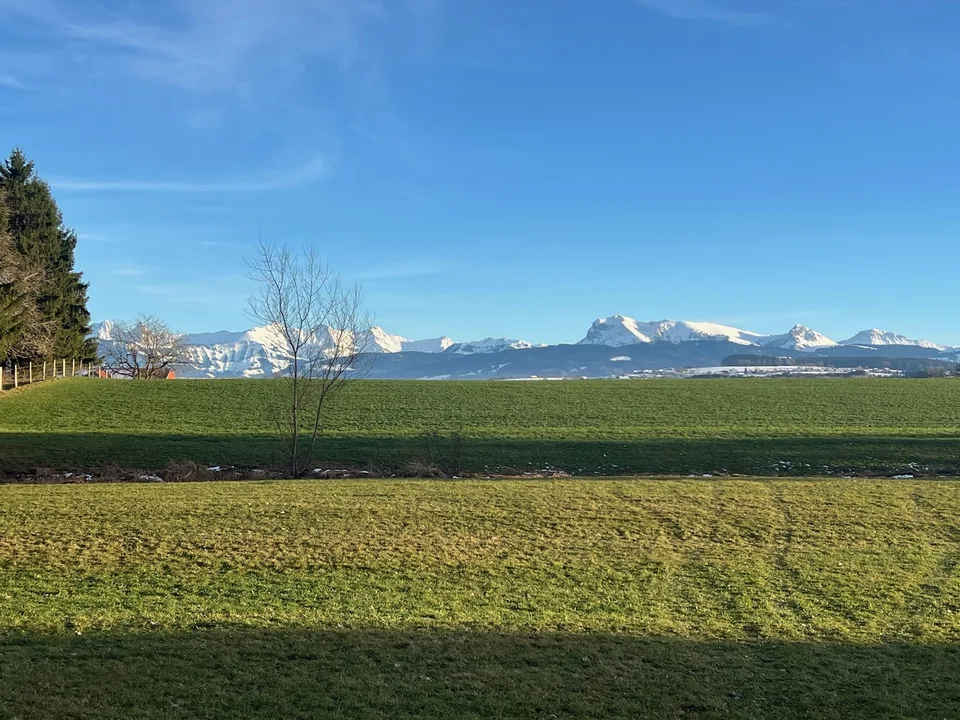 Azienda agricola equina 4,5 locali, scuderia, paddock, parchi – foto 9 di 9