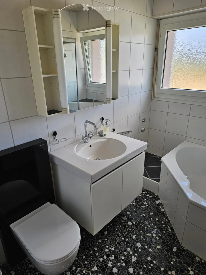 Appartamento unico di 5½ locali con terrazza privata di 110 m² e vista panoramica – foto 12 di 17