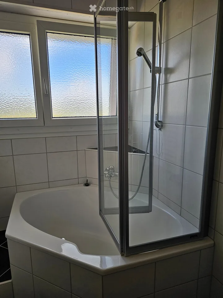 Appartamento unico di 5½ locali con terrazza privata di 110 m² e vista panoramica – foto 13 di 17