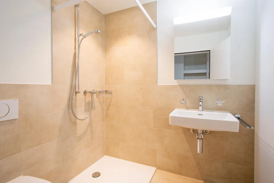 Modern 4.5-room apartment on the ground floor in Thayngen