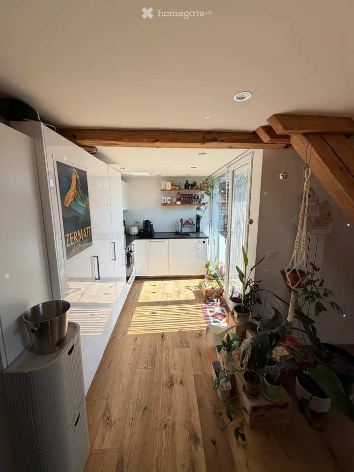 Charming Old Town Apartment Solothurn