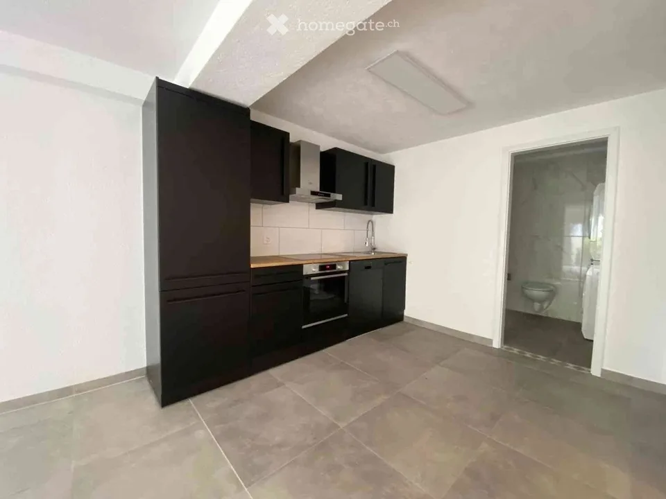 Apartment in Stein am Rhein