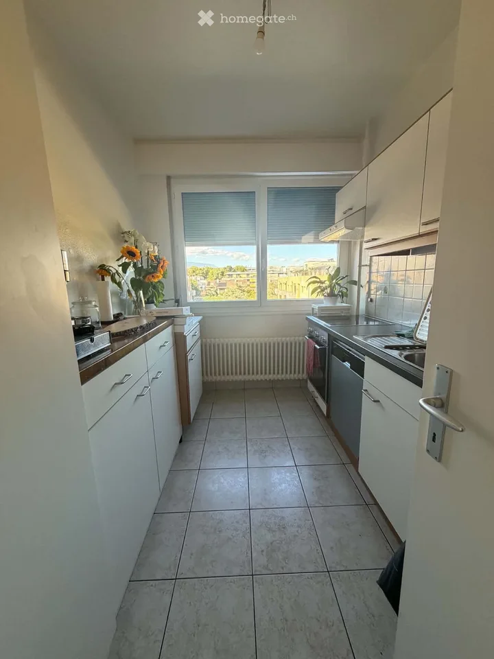 Location, apartment, Versoix