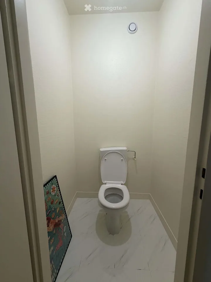 Location, apartment, Versoix