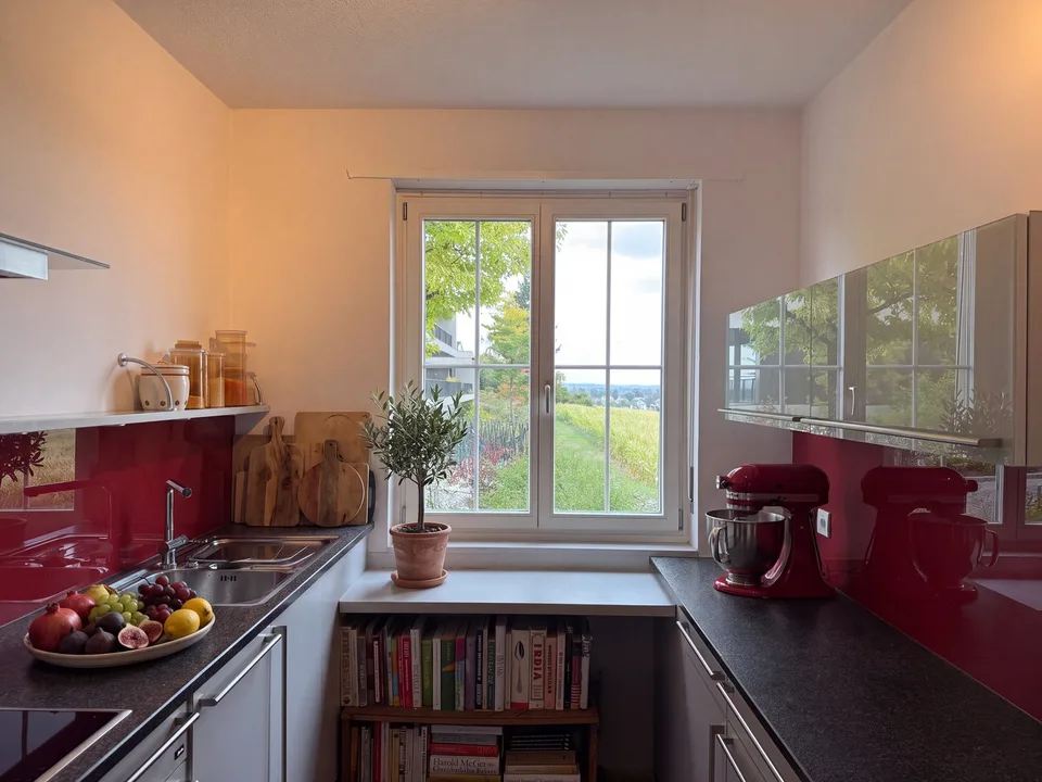 6.5-Zimmer-Doppeleinfamilienhaus mit grossem Garten, Pool und Weitsicht – Foto 7 von 27