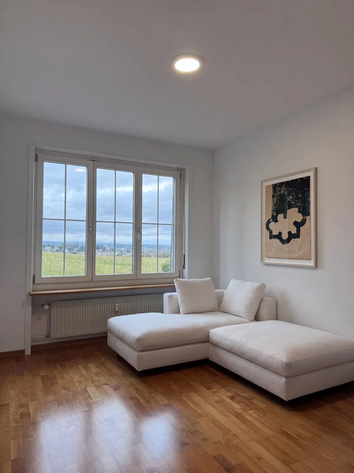 6.5-Zimmer-Doppeleinfamilienhaus mit grossem Garten, Pool und Weitsicht – Foto 8 von 27
