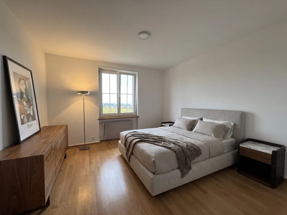 6.5-Zimmer-Doppeleinfamilienhaus mit grossem Garten, Pool und Weitsicht – Foto 17 von 27