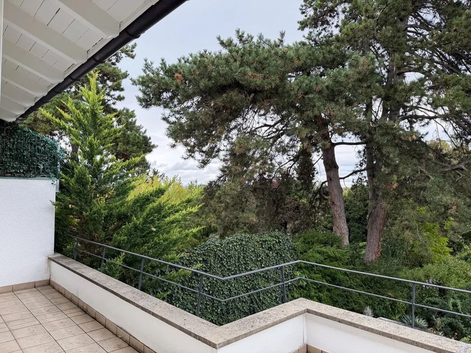 6.5-Zimmer-Doppeleinfamilienhaus mit grossem Garten, Pool und Weitsicht – Foto 15 von 27