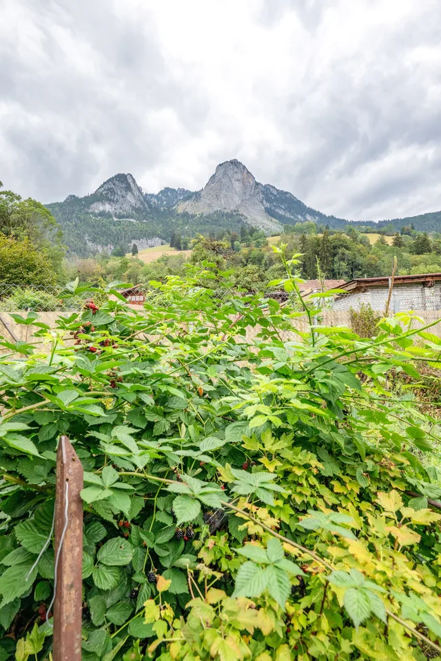 Maison mitoyenne confortable avec jardin et potentiel – photo 3 sur 16
