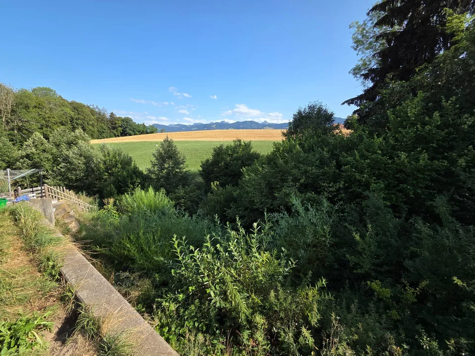 Casa unifamiliare affascinante con terreno spazioso e vista sulla catena di Gantrisch – foto 24 di 25