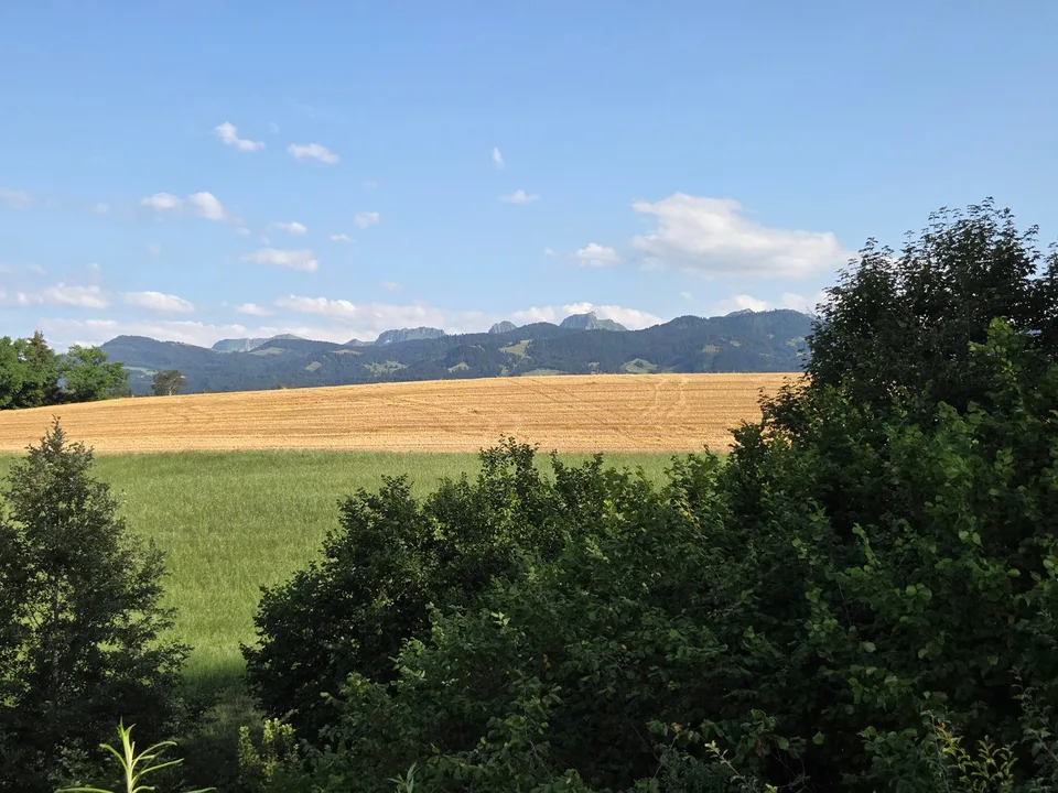 Casa unifamiliare affascinante con terreno spazioso e vista sulla catena di Gantrisch – foto 25 di 25