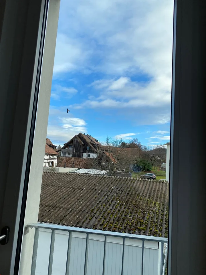 Disponibile dal 1.12./1.1. - Appartamento stylish di 3.5 locali con balcone, garage – foto 14 di 19