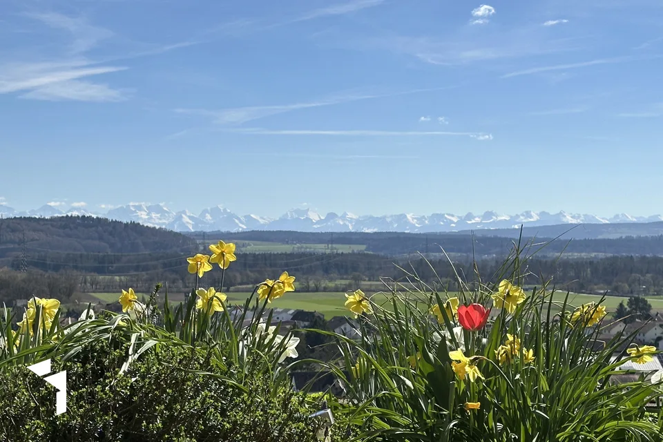 Fehr Immobilier - Appartement en terrasse de 5,5 pièces avec vue magnifique – photo 2 sur 13