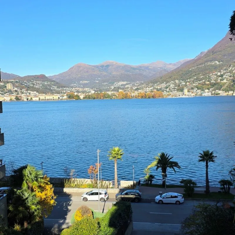 Affittasi spazioso 3.5 locali con vista lago – foto 2 di 8