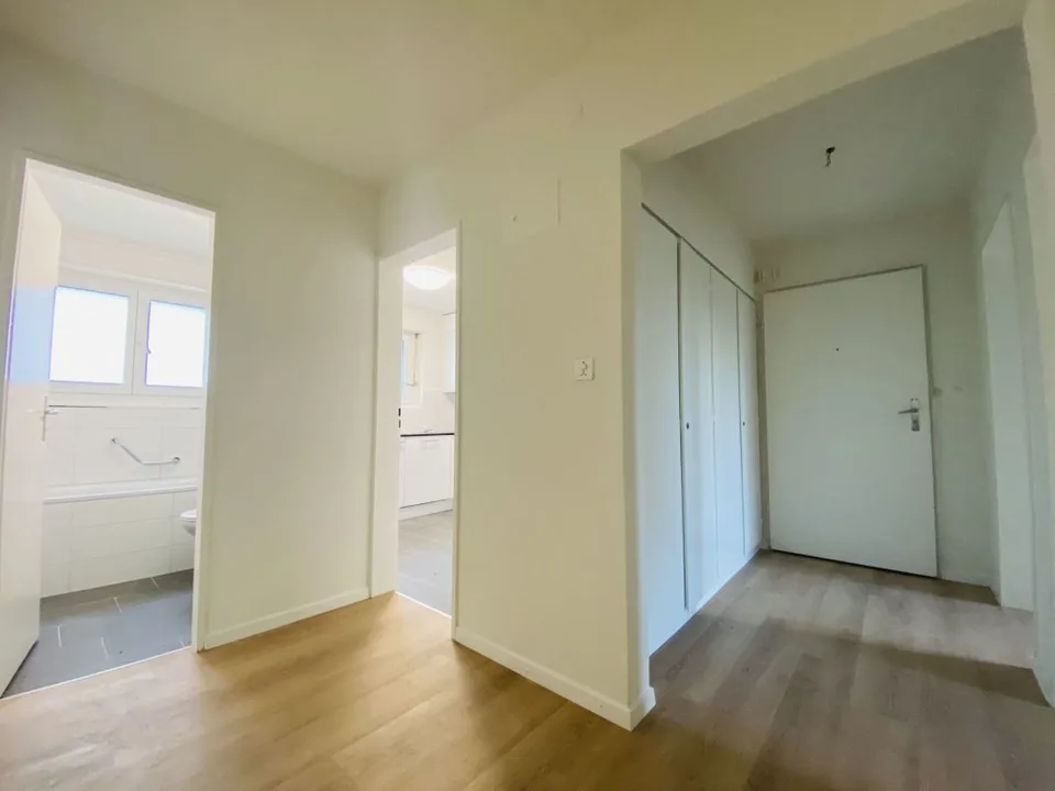 Cercasi inquilino immediato - appartamento 3.5 locali ristrutturato con balcone – foto 7 di 11