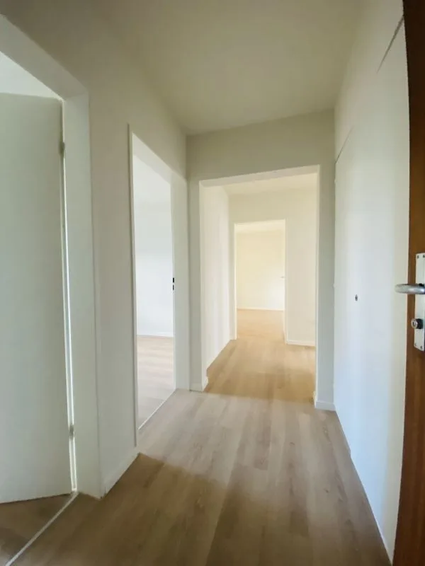 Cercasi inquilino immediato - appartamento 3.5 locali ristrutturato con balcone – foto 2 di 11