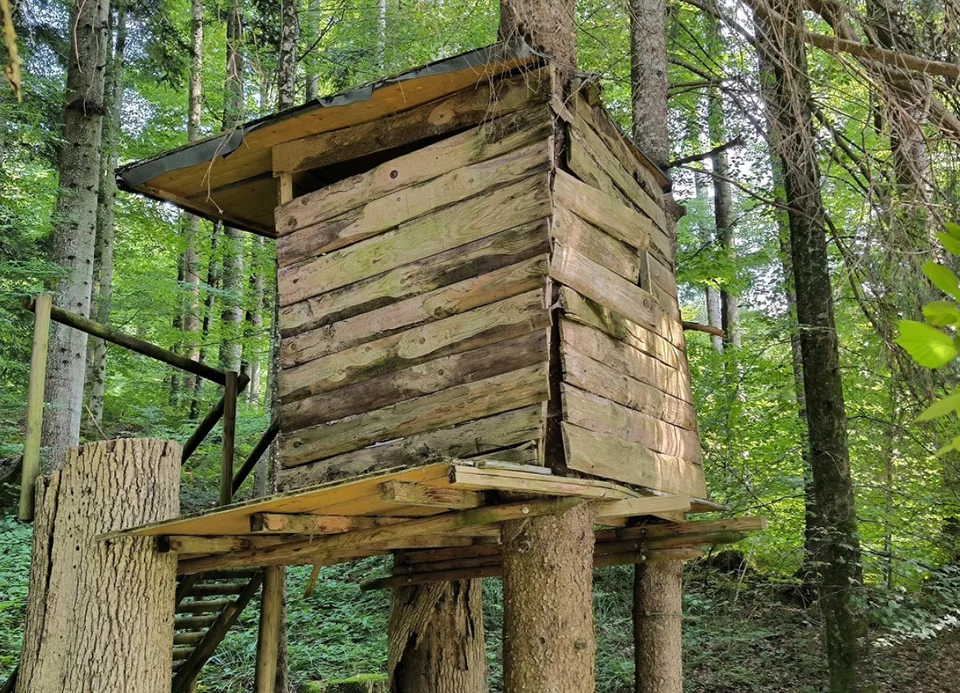 Spacieuse maison unifamiliale de 9,5 pièces à Wattwil à louer - limitée jusqu'à l'automne 2028 – photo 19 sur 23
