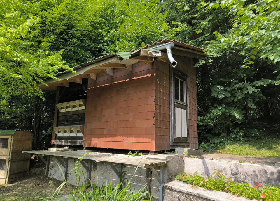 Spacieuse maison unifamiliale de 9,5 pièces à Wattwil à louer - limitée jusqu'à l'automne 2028 – photo 18 sur 23