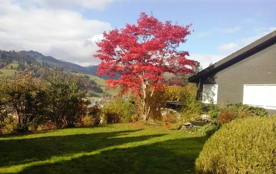 Spacieuse maison unifamiliale de 9,5 pièces à Wattwil à louer - limitée jusqu'à l'automne 2028 – photo 20 sur 23