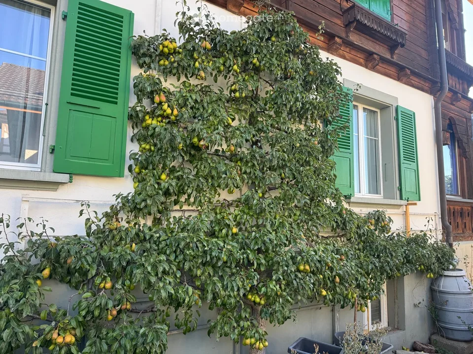 Frisch renovierte Dachwohnung – Foto 9 von 9