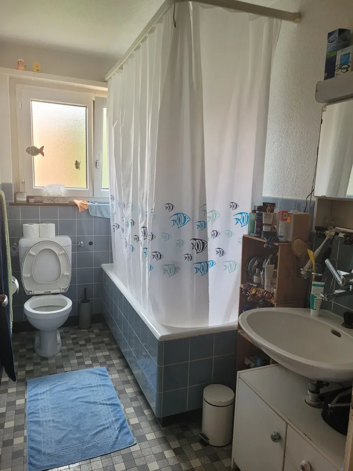 3½ ZI-WOHNUNG IN CHAM (ZG), MÖBLIERT, TEMPORÄR – foto 5 di 7