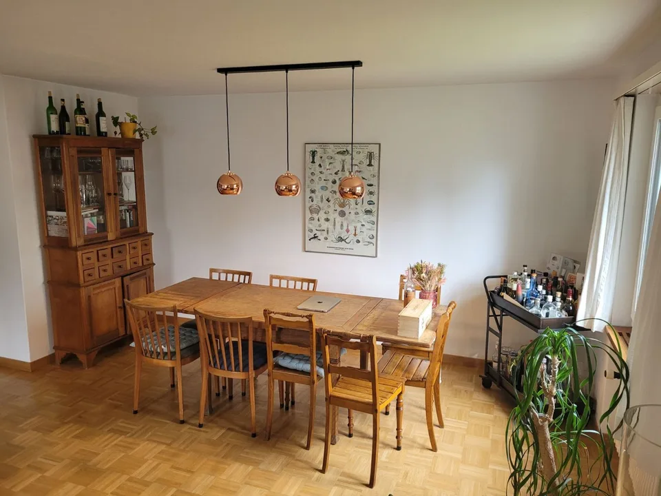 3½ ZI-WOHNUNG IN CHAM (ZG), MÖBLIERT, TEMPORÄR – foto 2 di 7