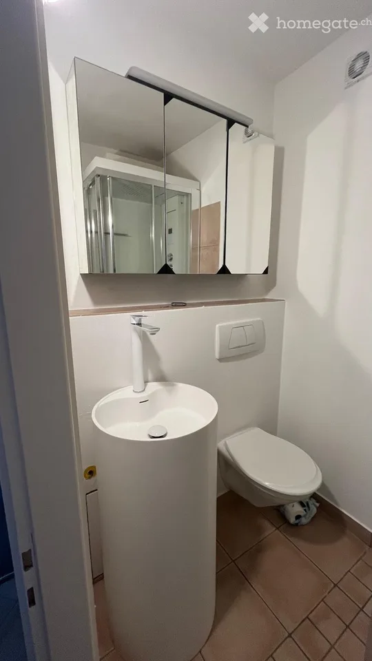 Wohnung mit 4 Zimmern in Aldesago, renoviert, mit Garten – Foto 5 von 5
