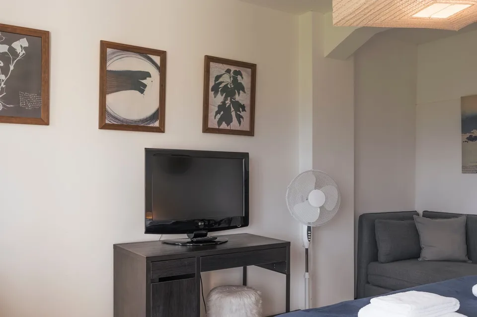 Ampia camera arredata 35 m² con vista sul lago, 4 km da Nyon, contratto di 6 mesi – foto 5 di 9
