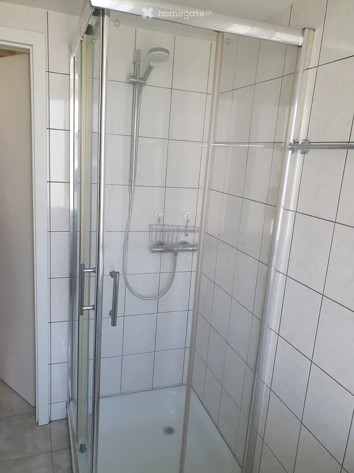 Zu vermieten in Buckten BL ab 1.12.26 renovierte 2 Z. Wg – Foto 4 von 5