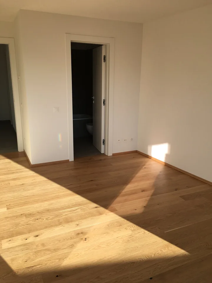 Lugano-Savosa, 3.5-Zimmer-Wohnung - letztes Stockwerk – Foto 8 von 21