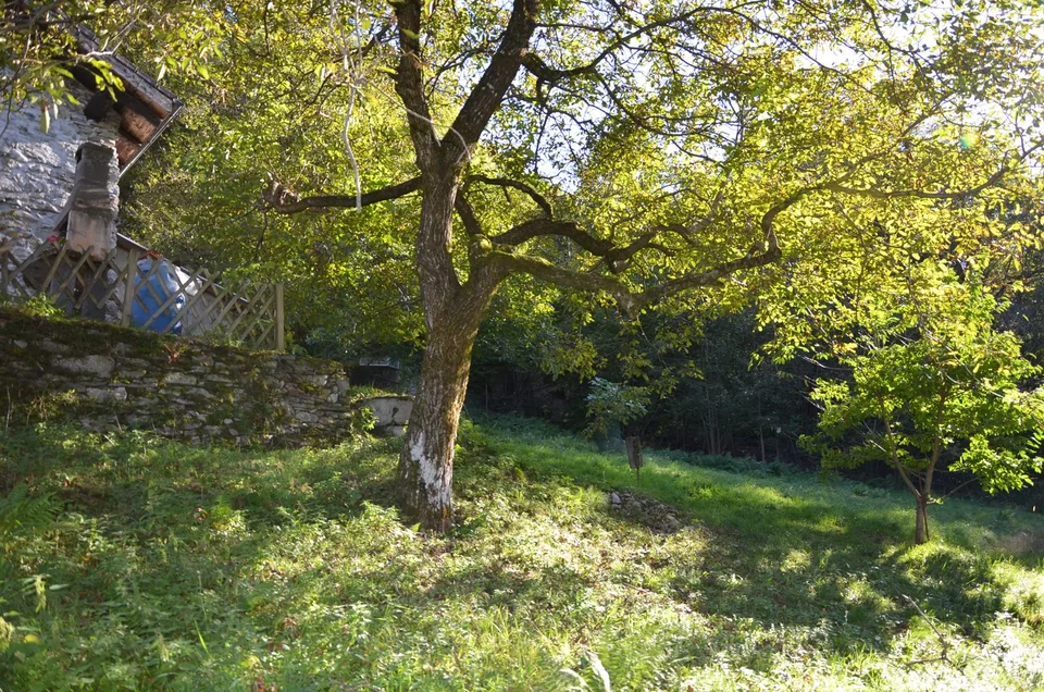 Rustico inmitten der Natur mit Land und schöner Aussicht – foto 15 di 25
