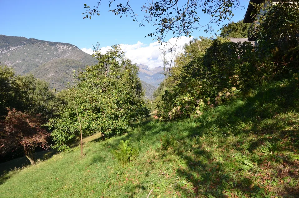 Rustico inmitten der Natur mit Land und schöner Aussicht – foto 17 di 25