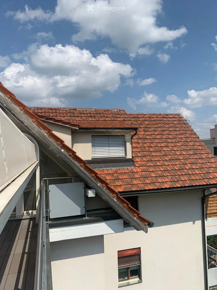 Appartement en mansarde à Rickenbach Sulz – photo 24 sur 24