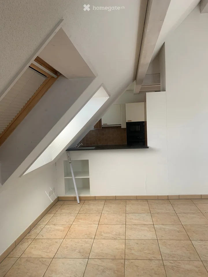 Appartement en mansarde à Rickenbach Sulz – photo 21 sur 24