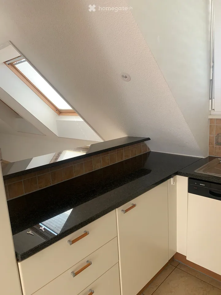 Appartement en mansarde à Rickenbach Sulz – photo 13 sur 24