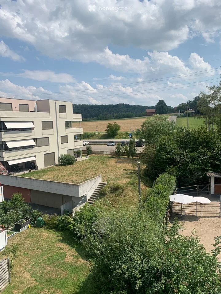 Appartement en mansarde à Rickenbach Sulz – photo 23 sur 24