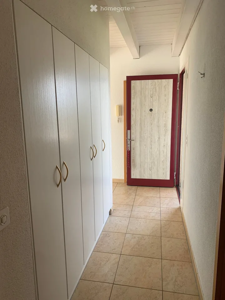Appartement en mansarde à Rickenbach Sulz – photo 10 sur 24