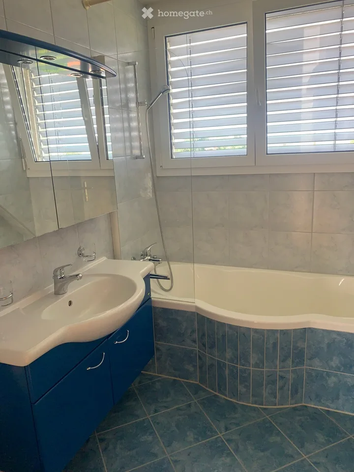 Appartement en mansarde à Rickenbach Sulz – photo 11 sur 24