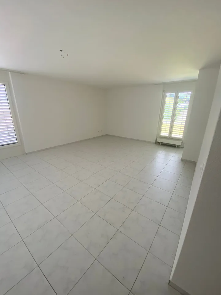 Bright 1-room attic apartment with beautiful views in Olten – photo 3 of 15