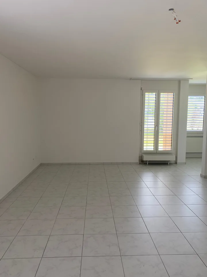 Bright 1-room attic apartment with beautiful views in Olten – photo 4 of 15