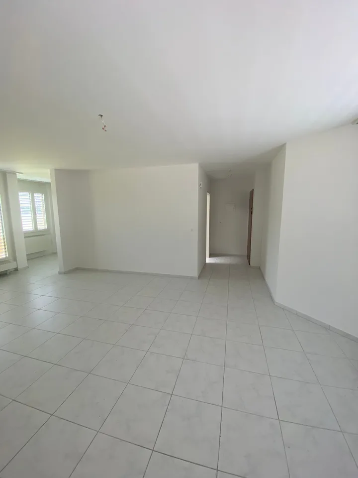 Bright 1-room attic apartment with beautiful views in Olten – photo 10 of 15