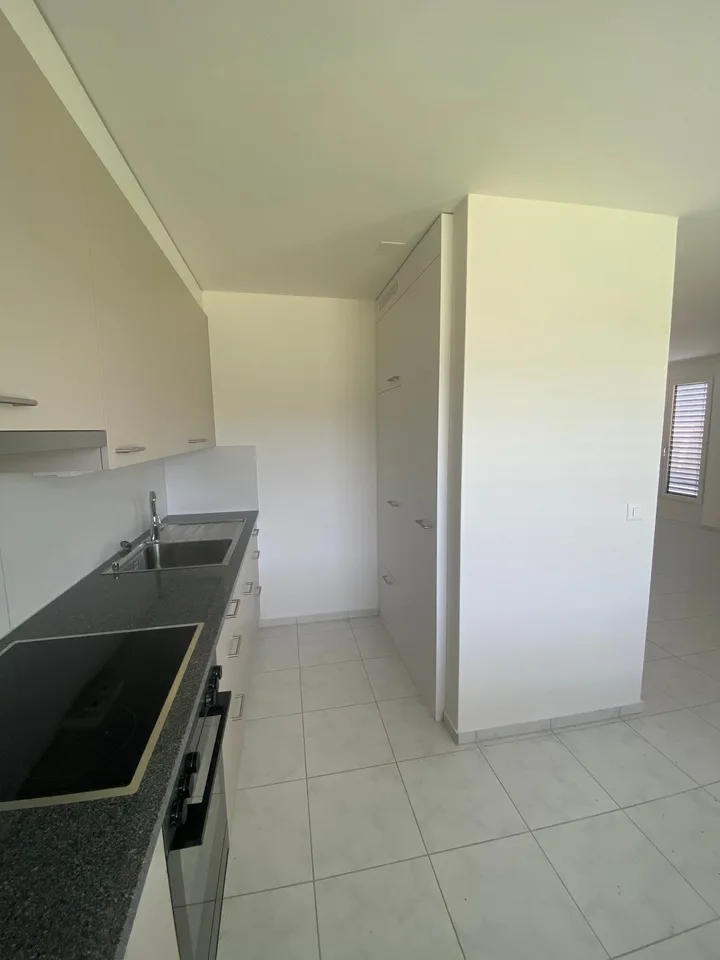 Bright 1-room attic apartment with beautiful views in Olten – photo 7 of 15
